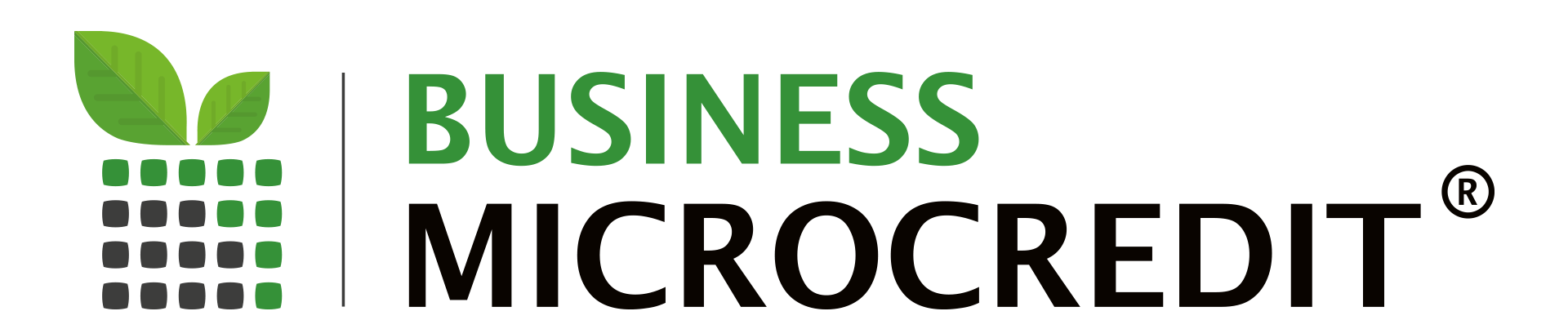 Logo Business Microcredit